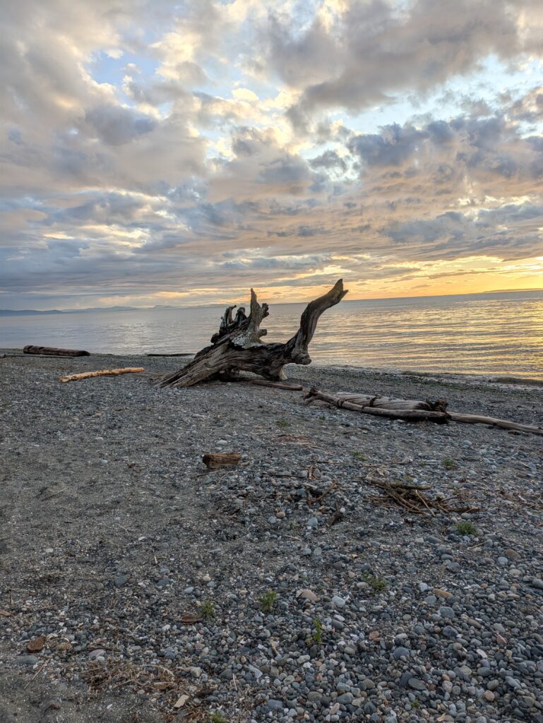 Birch Bay Shoreline